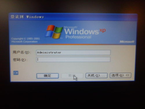 计算机用户账户 概念、类型与管理